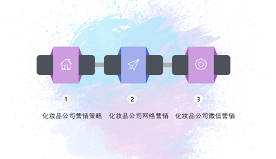 化妝品行業(yè)網(wǎng)絡營銷策略方案